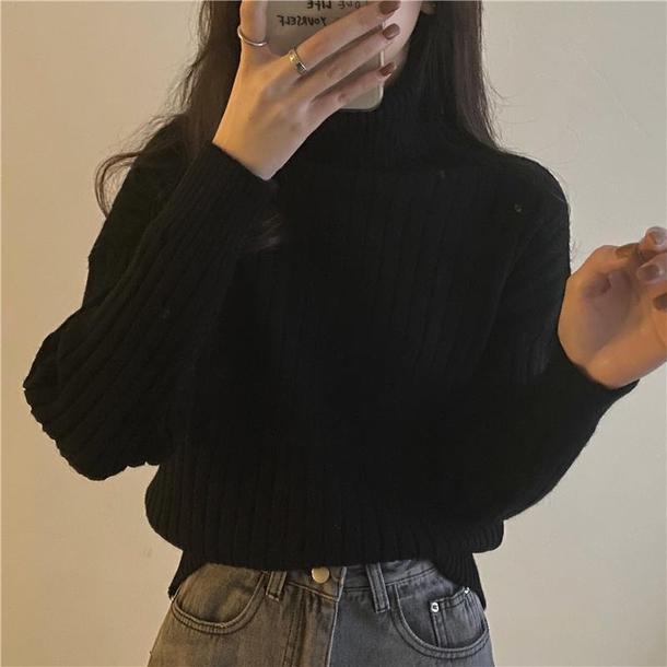 アソートハイラペルリブニット 4106-画像15-韓国ファッション通販POPREA［ポップリア］